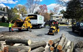 Best Seasonal Cleanup (Spring/Fall)  in Taft Mosswood, CA